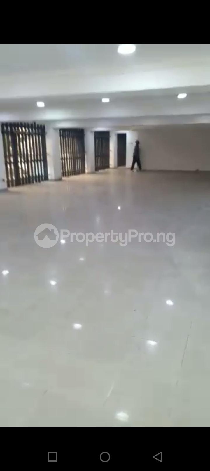 Commercial Property for rent Victoria Island Lagos - 1