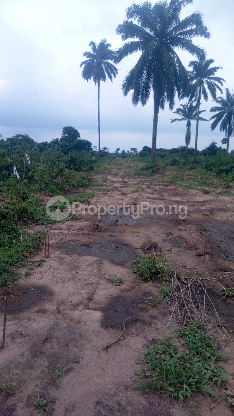 10 Bedroom Land in Uyo Akwa Ibom Land for sale in uyo Land in uyo