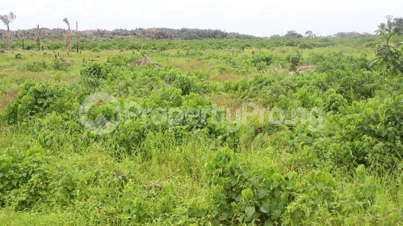 Land for sale Lakowe Eputu Ibeju-Lekki Lagos