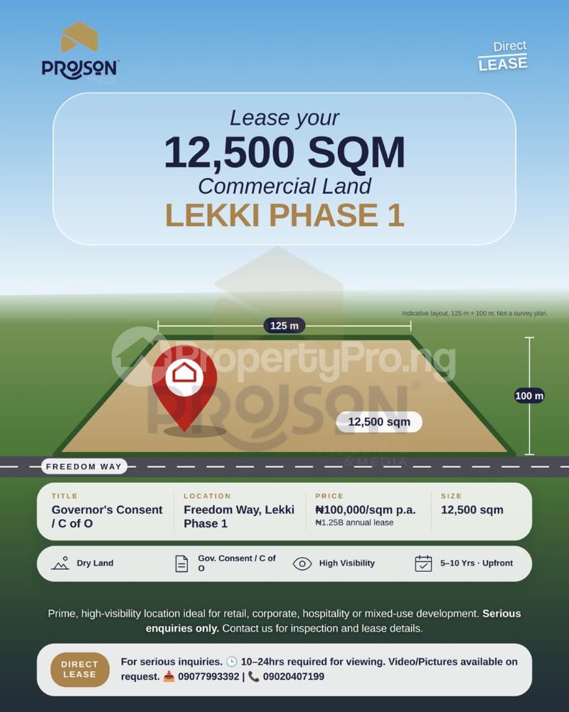 Land for rent Freedom Way Lekki Phase 1 Lekki Lagos - 0
