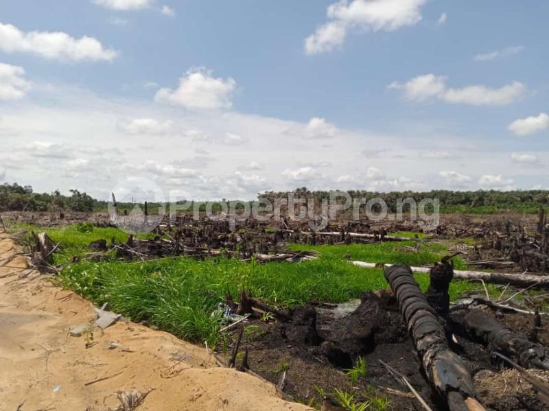 Land for sale Shapatti Bogije Lagos Awoyaya Ajah Lagos - 2