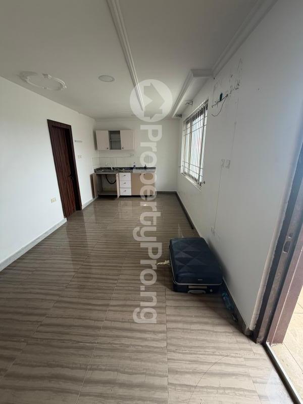 1 bedroom Flat / Apartment for rent Ikate Lekki Lagos
