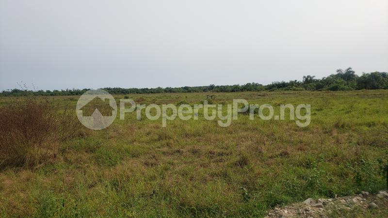 Land for sale Monastery road Sangotedo Lagos