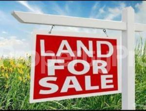Land for sale Ilupeju industrial estate Ilupeju Lagos
