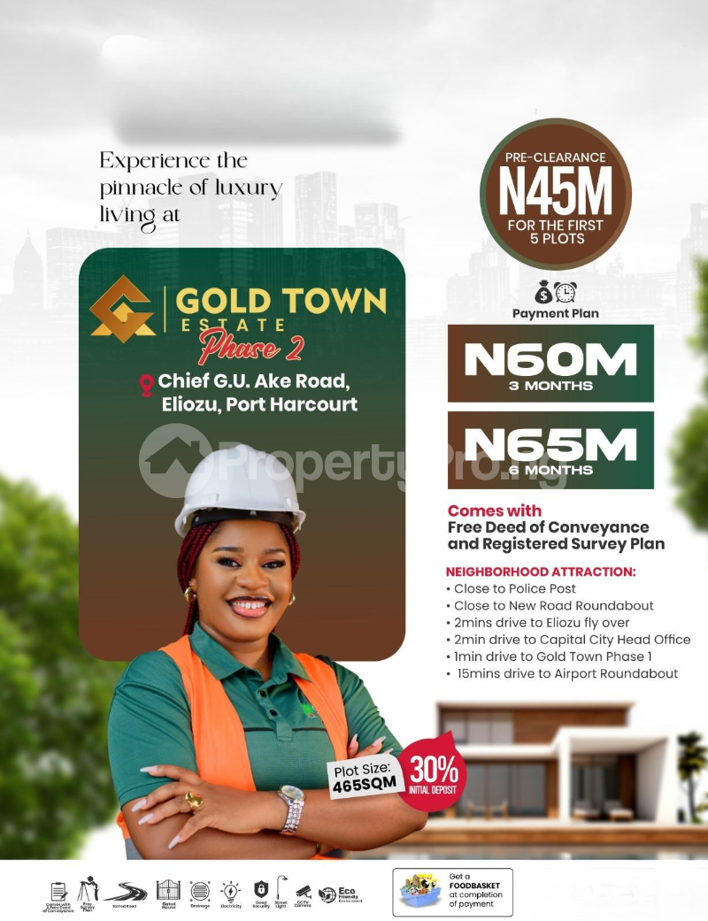 Land for sale Cheif G. U Ake Road Eliozu/goldtown Estate Phase2/ 2mins Drive To Eliozu Fly Over Eliozu Port Harcourt Rivers