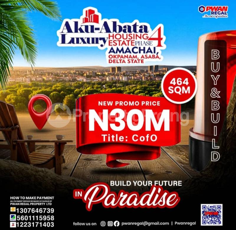 Land for sale Okpanam Asaba Delta