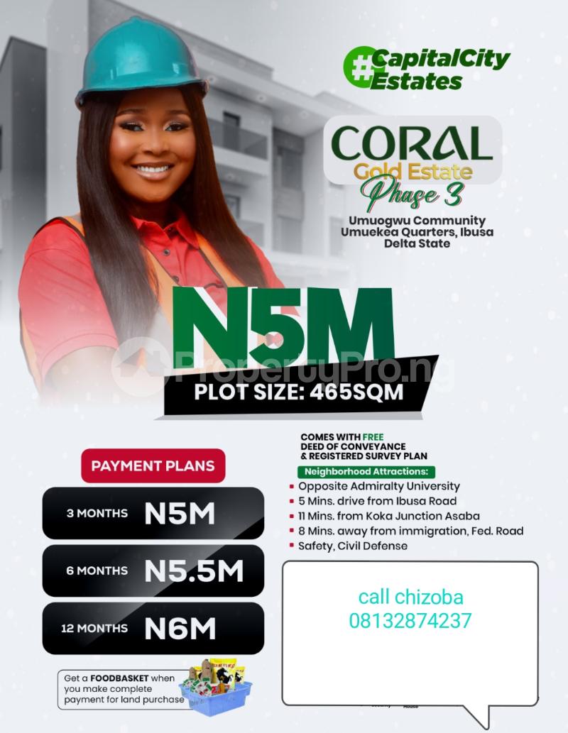 Land for sale Ogbeowele Quarter Ibusa/ Coral Gold Estate 3/ In Oshimili North Lga Oshimili North Delta