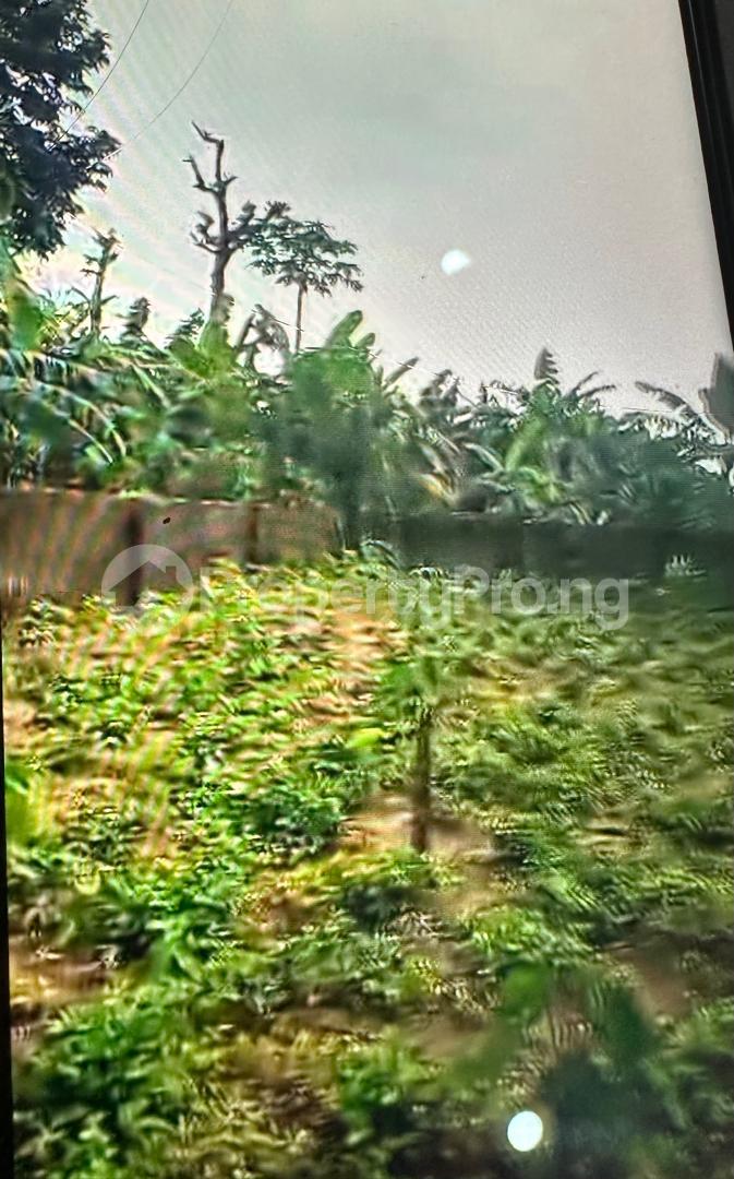 Land for sale Shelter Afrique Extension Uyo Akwa Ibom