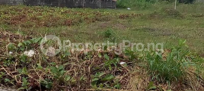 Land for sale Onishon Lakowe, Ibeju-Lekki Lagos - 0