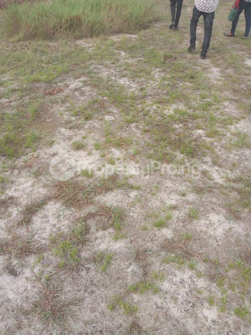 Land in IbejuLekki Lagos Land for sale in ibejulekki Land in