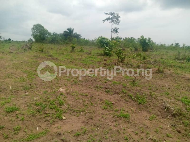 Land for sale Ido Ibadan Oyo