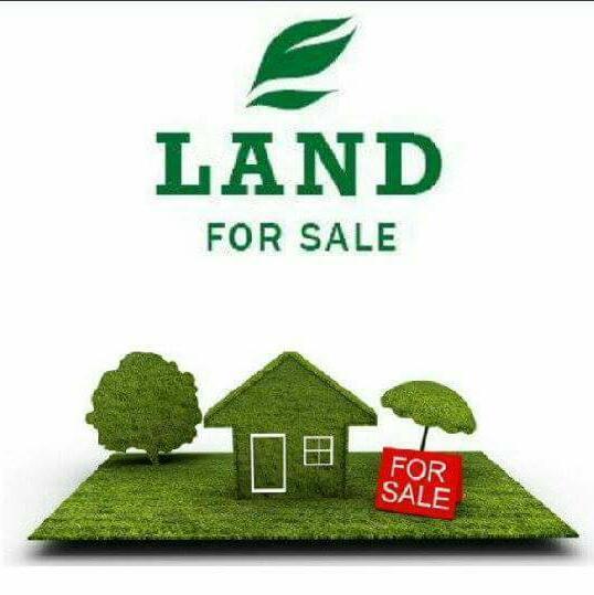 Land for sale   Ebute Metta Yaba Lagos