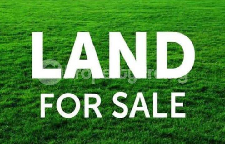 Land for sale Ago palace Okota Lagos