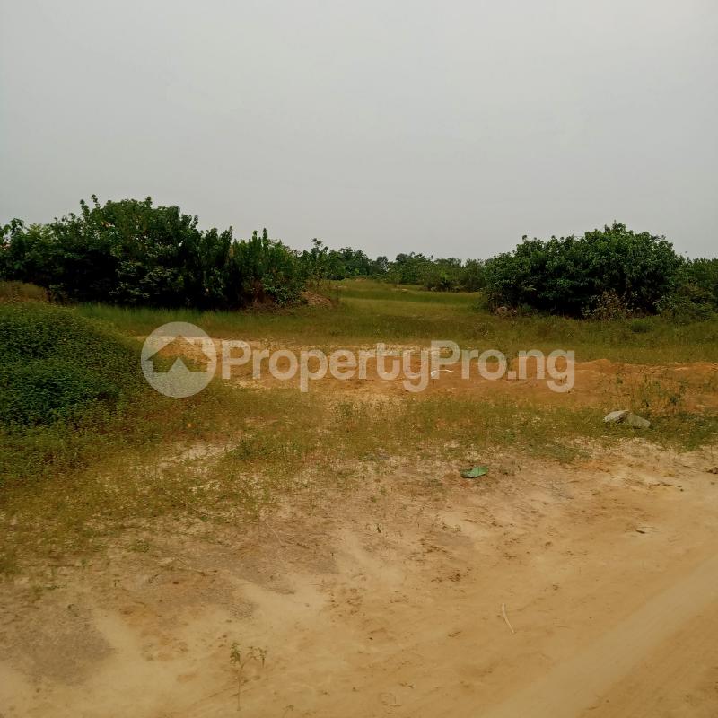 Land for sale Pan African University Eleko Ibeju-Lekki Lagos