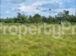 Land for sale Eleko Ibeju-Lekki Lagos