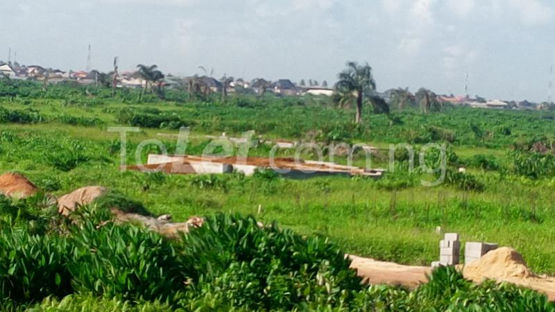 Land for sale Fagbile Phase 3 Festac Amuwo Odofin Lagos