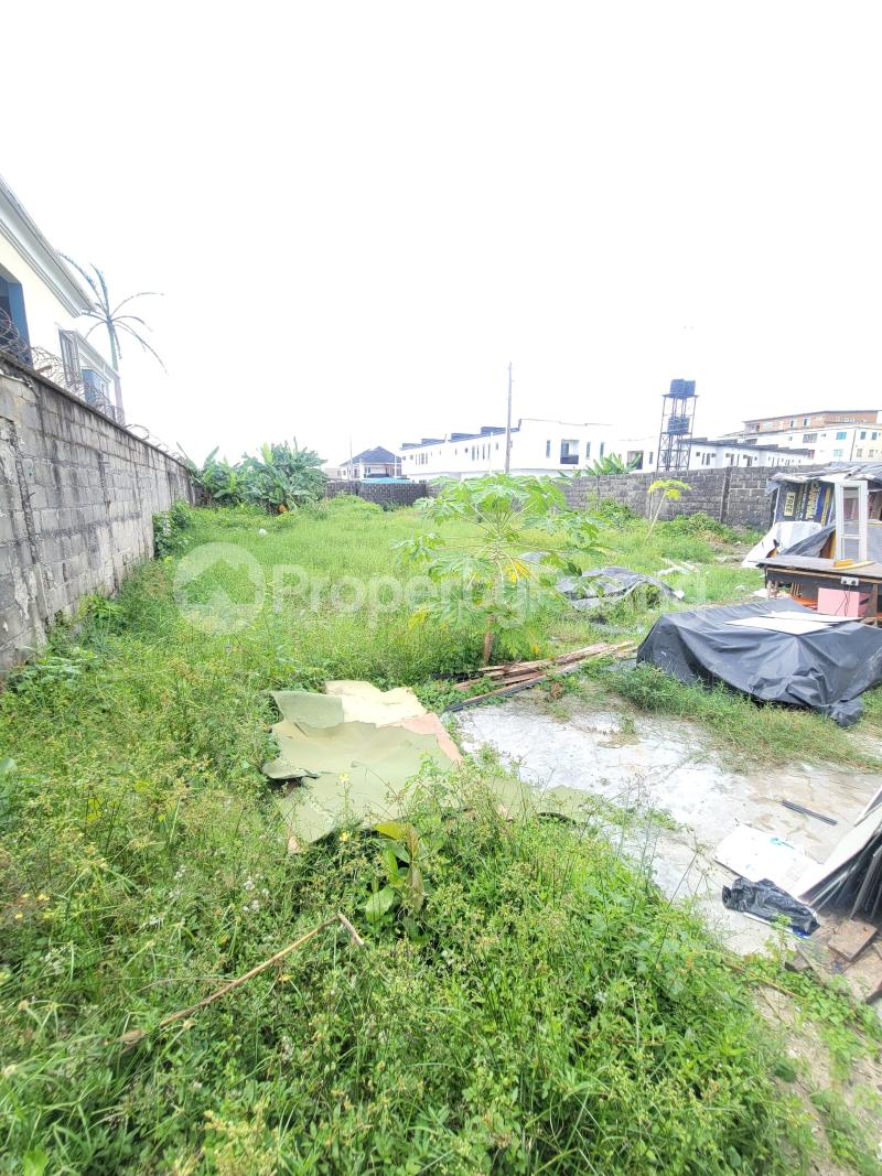 Land for rent General Painting Abraham adesanya estate Ajah Lagos