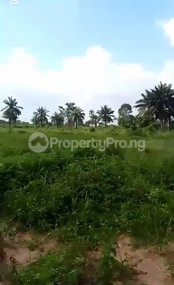 Land for sale Igbonla Area, Epe Lagos