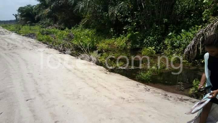 Land for sale New Lagos City Estate Sangotedo Ajah Lagos