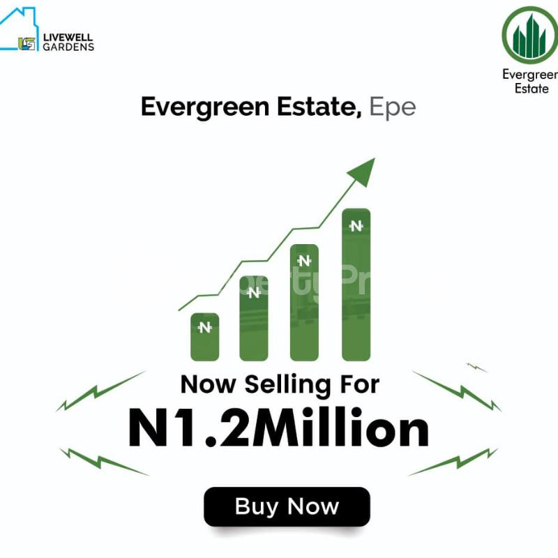 Land for sale Epe Road Epe Lagos - 1