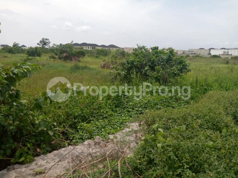 Land for sale By Eleganza Lekki Phase 2 Lekki Lagos