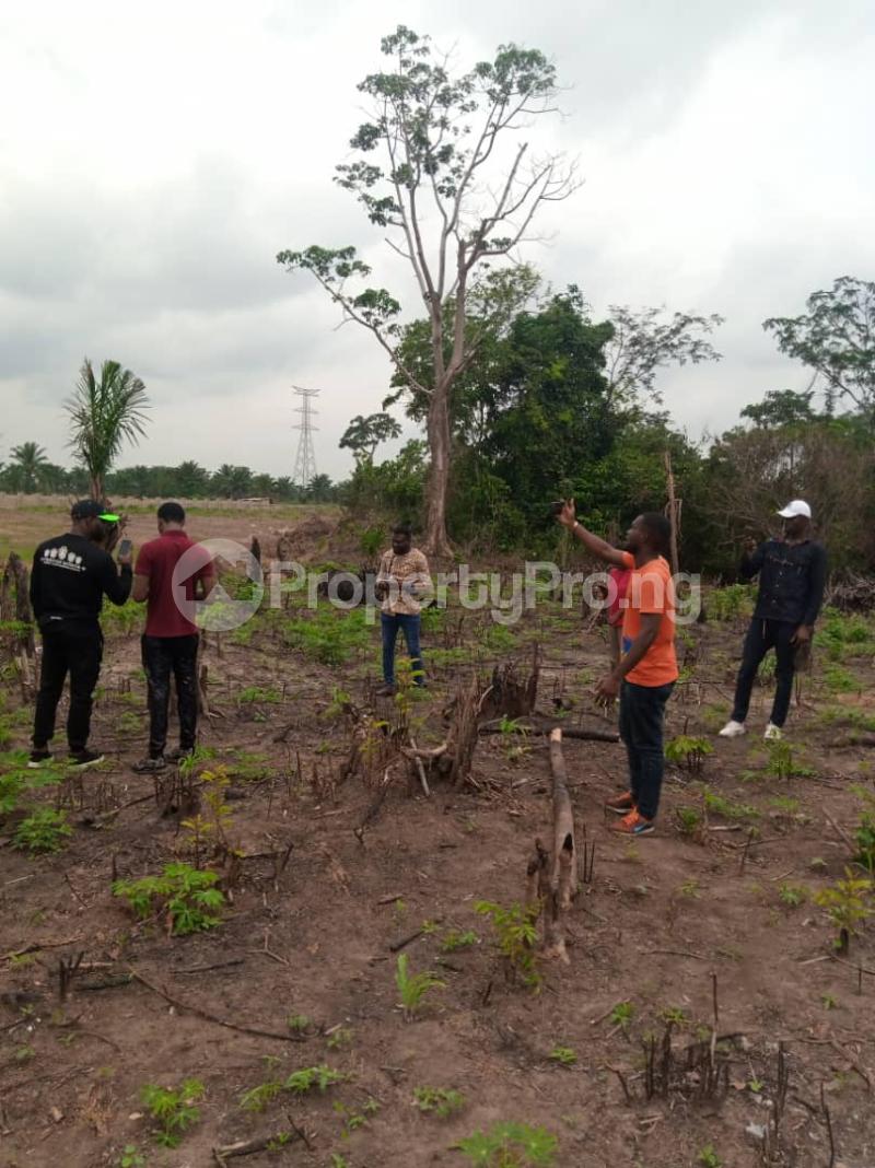 Land for sale Igbonla Epe Road Epe Lagos