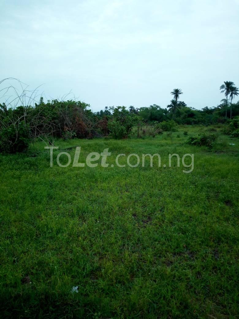 Land for sale Eleranigbe Eleranigbe Ibeju-Lekki Lagos