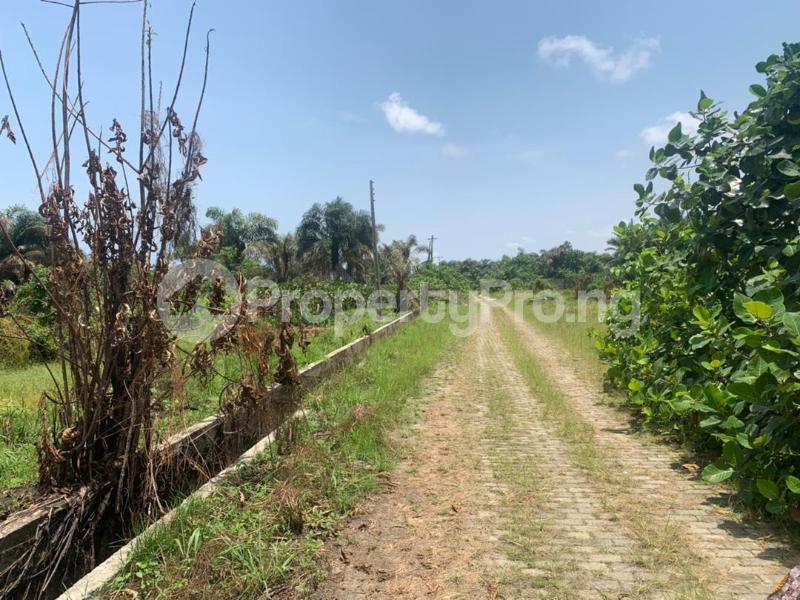 Land for sale Off Ayoola Makanjuola Street Ajah Lagos