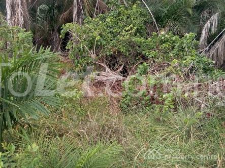 Land for sale Chevy View Estate chevron Lekki Lagos