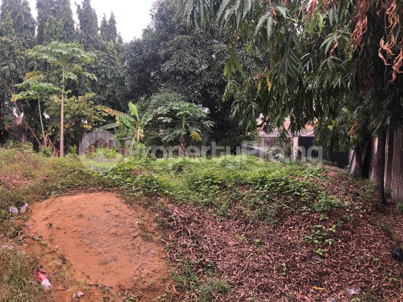 Commercial Property for rent Thomas Estste Thomas estate Ajah Lagos