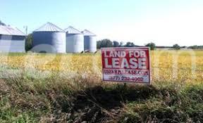 Land for rent Ologolo Road Agungi Lekki Lagos