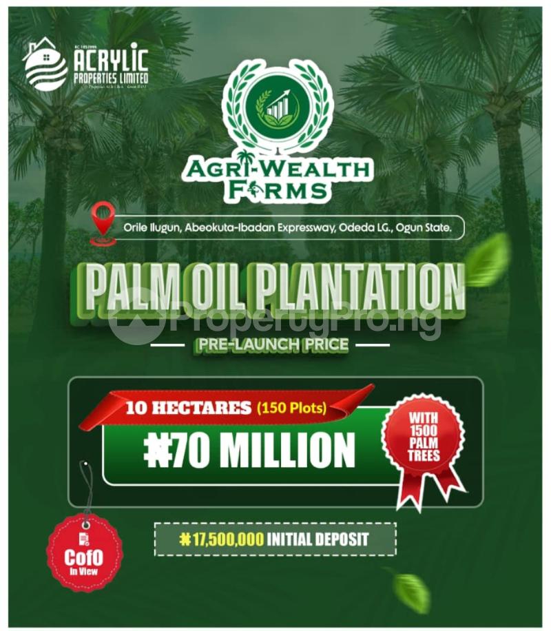 Land for sale Abeokuta Ibadan Expressway Abeokuta Ogun