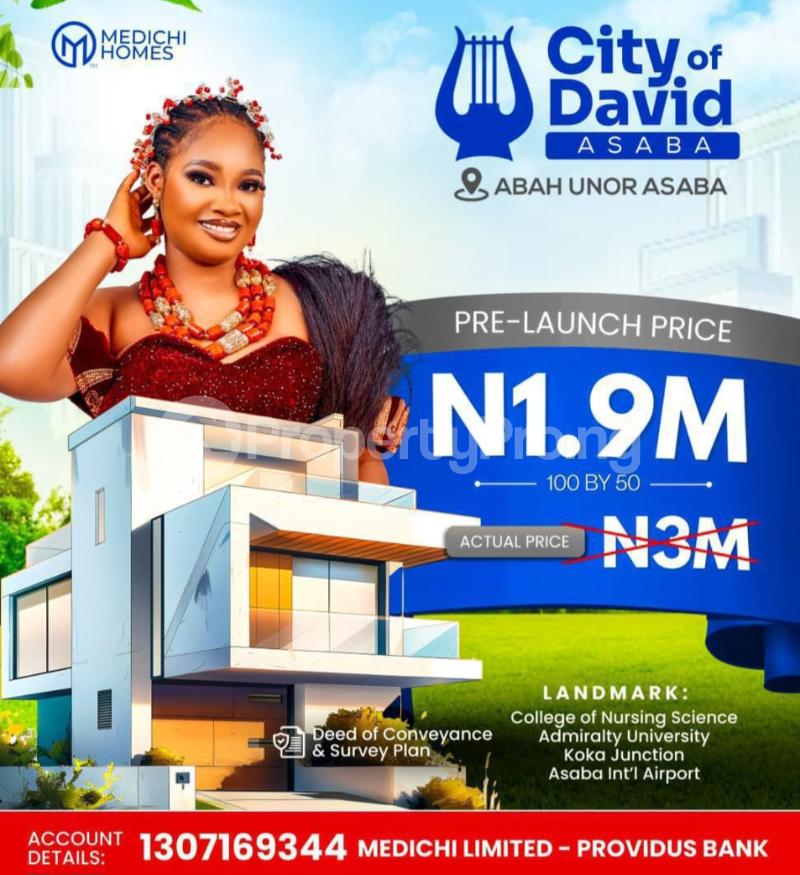 Land for sale Directly Behind College Of Nursing Science Asaba Delta