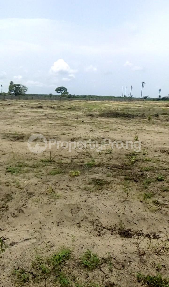 Land in Free Trade Zone IbejuLekki Lagos Land for sale in ibeju