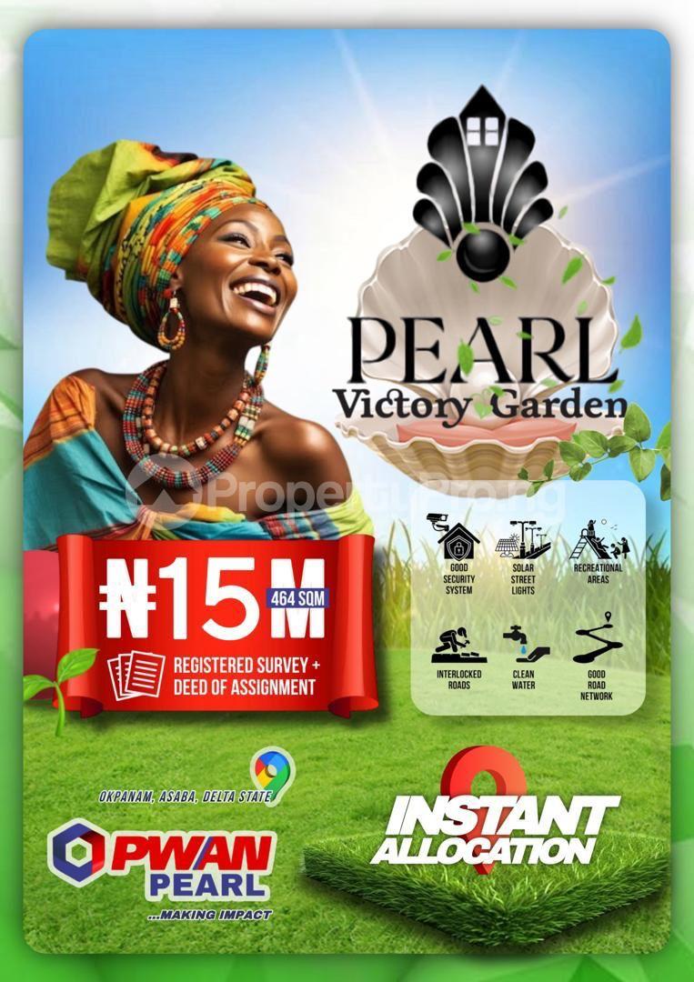 Land for sale Okpanam City Gate,nnpc Mega Filling Station Asaba Delta
