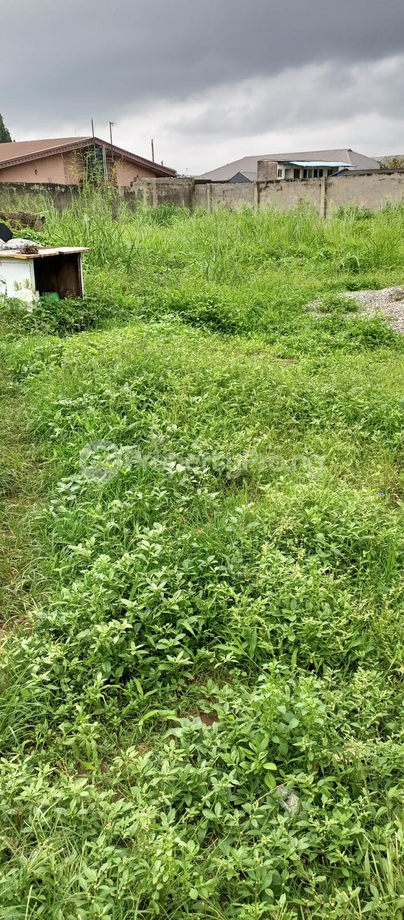 Land in Governors road Ikotun/Igando Lagos Land for sale in ikotun