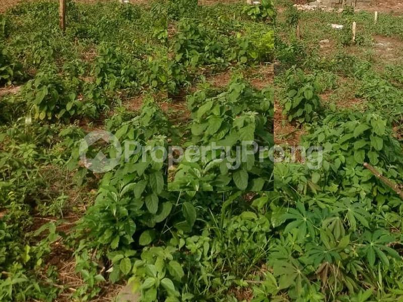 Land for sale Iba Oloja, Adjacent Dangote Rifinery LaCampaigne Tropicana Ibeju-Lekki Lagos
