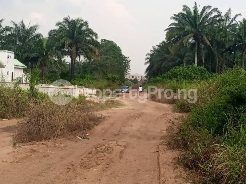 Land for sale 300 Plots Of Land For Sale In Mgbirichi Ph Road Ohaji/Egbema Imo