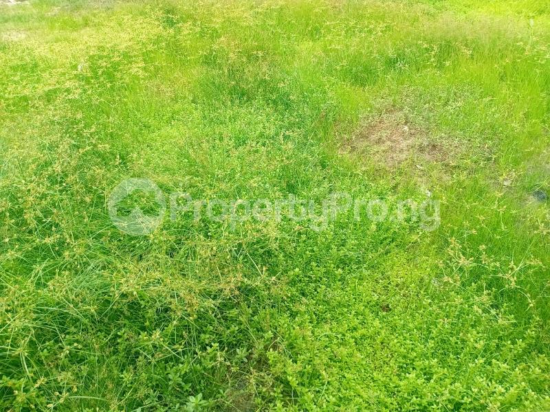 Land for sale Araga Poka, Epschool Of Agriculture, Epe Road Epe Lagos