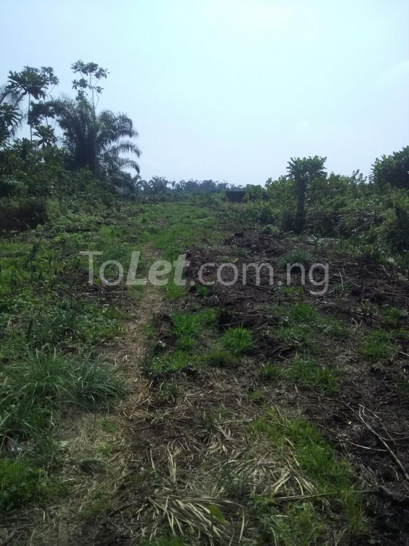 Land for sale After Lbs Near Debirus College Ajah Ibeju-Lekki Lagos