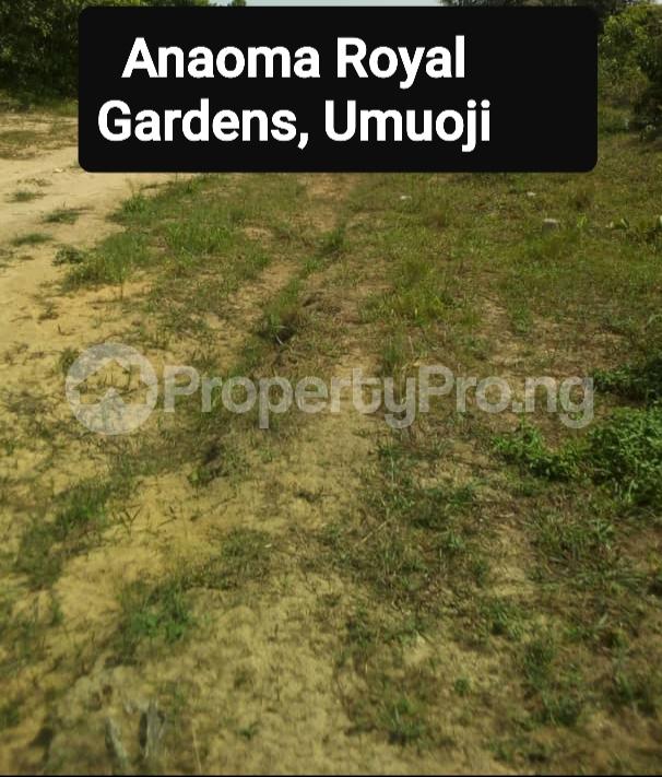 Land for sale Omuoji Town Idemili North Anambra