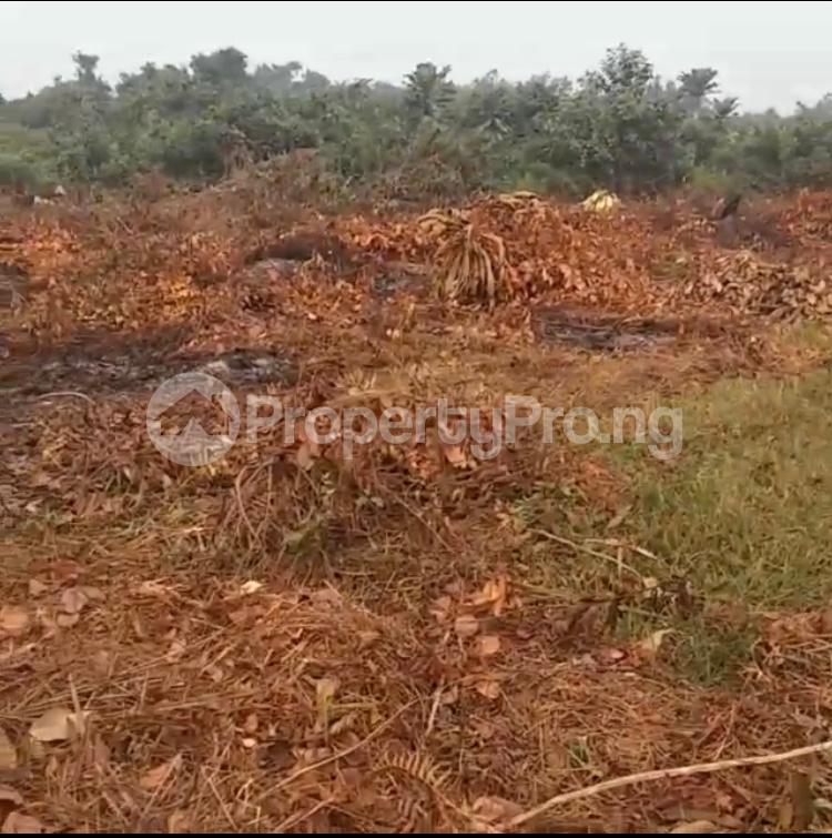 Land in Aradagun Badagry Lagos Land for sale in badagry Land in