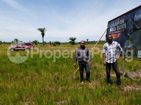 Land for sale Champion Seed Estate, Ode Omi, 15mins From Lacampagne Tropicana Resort Ibeju-Lekki Lagos