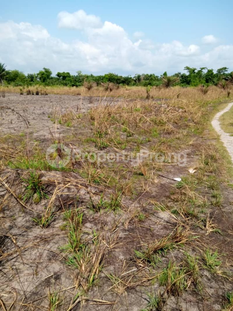 Land for sale Billionaire's Estate 3, Epe Lagos. Epe Road Epe Lagos - 0