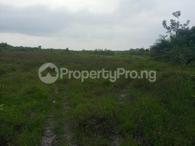 Land for sale Royal Military Estate Is Strategically Located At Ikegun/lekpie Ikegun Ibeju-Lekki Lagos - 0