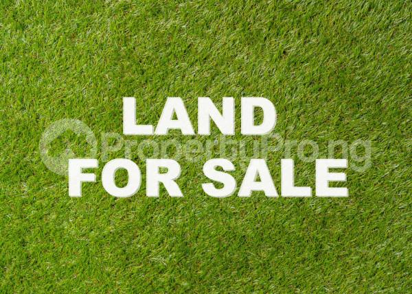 Land for sale Lekki Scheme 2 Abraham adesanya estate Ajah Lagos - 0