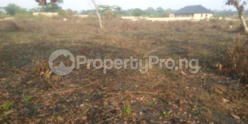 Land for sale D Prince Builders Oredo Edo