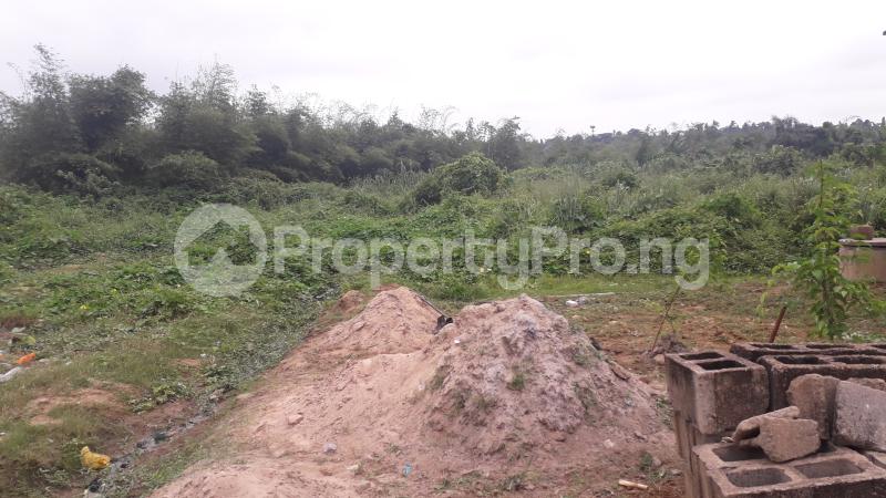 Land for sale Vic Emanuel Ipaja Ipaja Lagos - 0