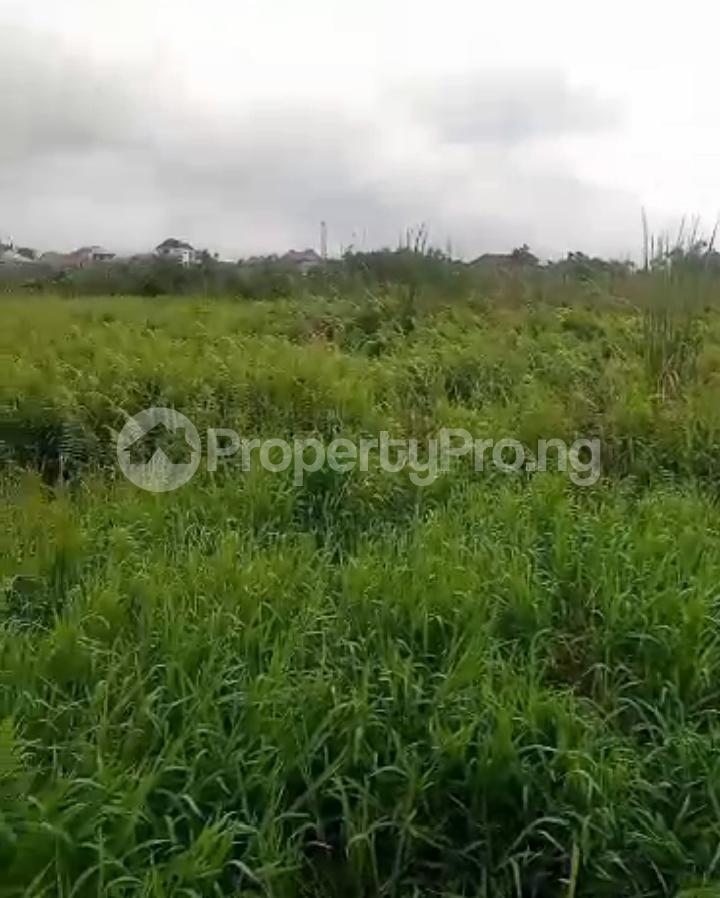 Land for sale Tribune Arepo Magboro Obafemi Owode Ogun - 0