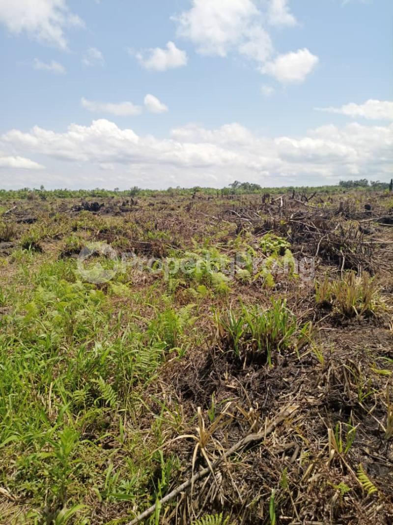 Land for sale Eleko Ibeju-Lekki Lagos